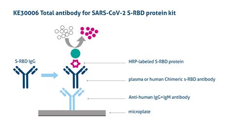 anti-sars-cov-2 igg elisa kit|Anti.